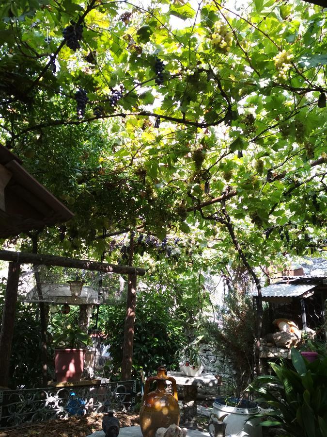 Karafil Guesthouse Gjirokastër Exterior foto